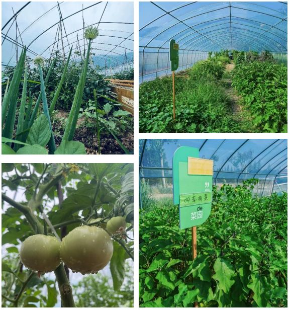 这个「长期主义」住宅创造西安品质生活新提案！(图12)