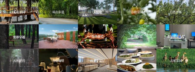 这个「长期主义」住宅创造西安品质生活新提案！(图10)