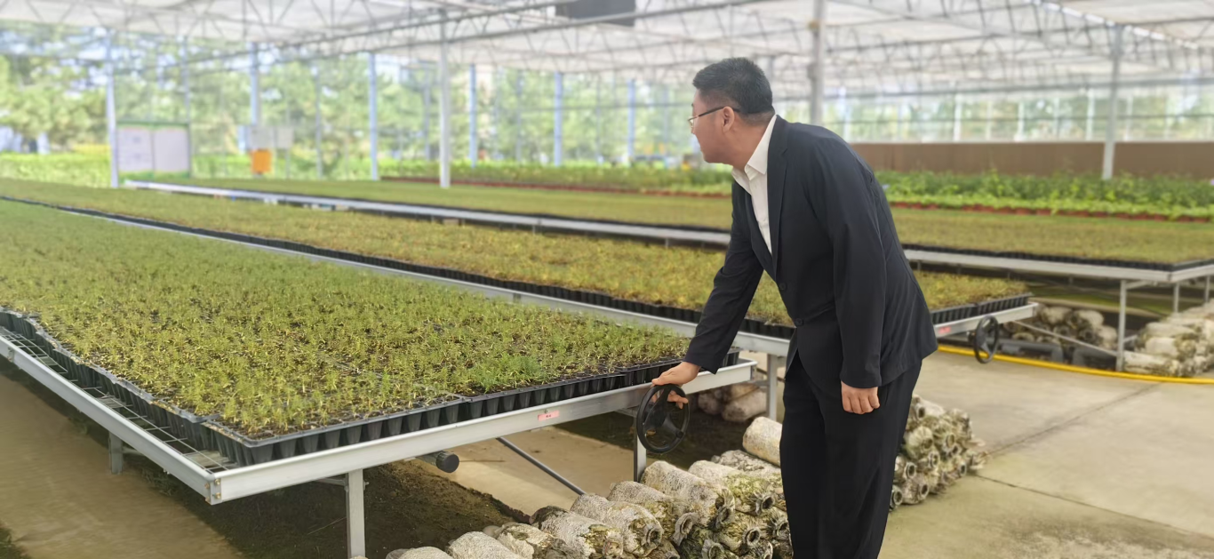 毛乌素沙地奏响科技育苗的“绿色乐章”(图4)