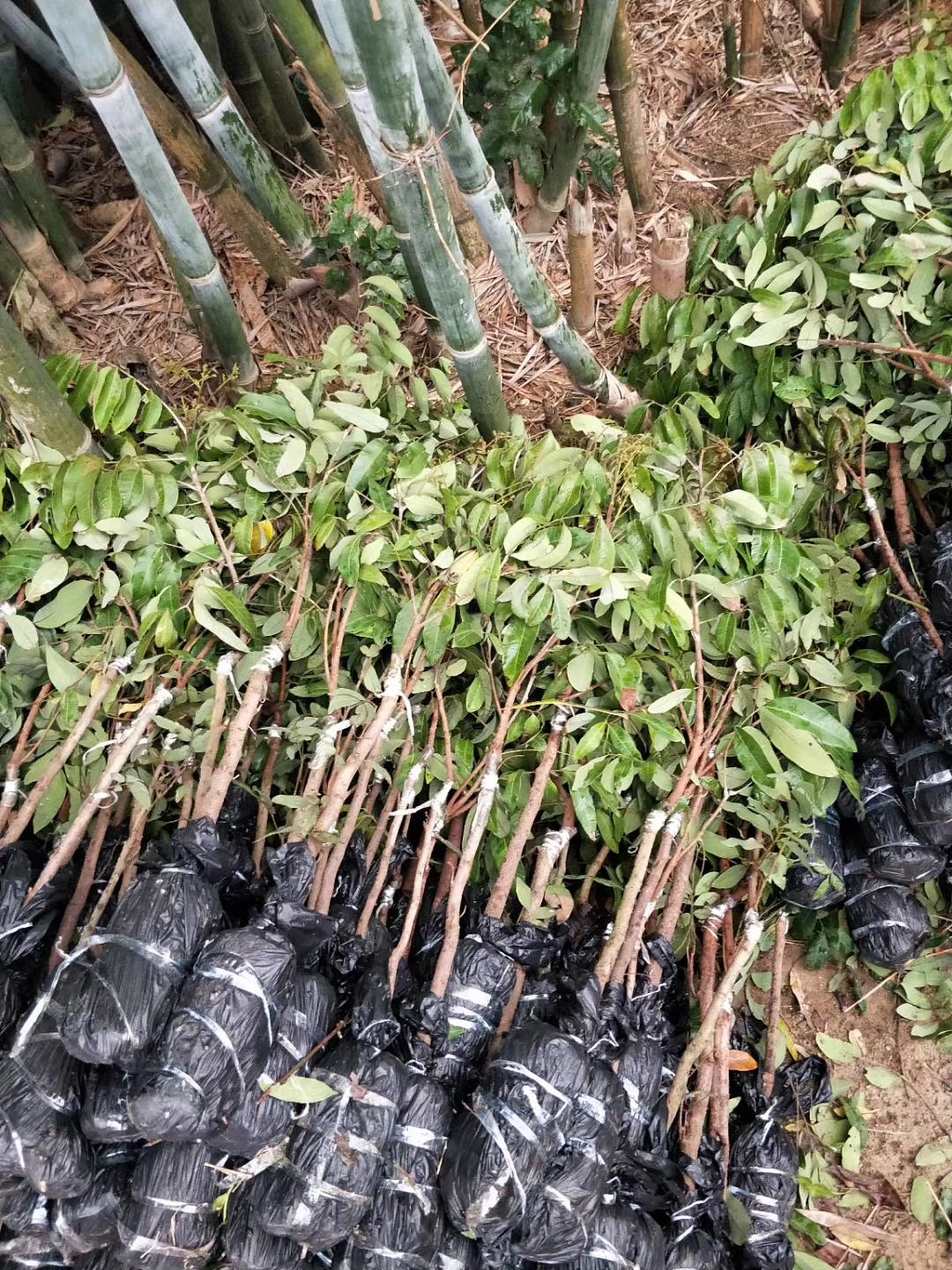 “双节”假期不停工济南地铁8号线“进度条”持续加载…(图1)