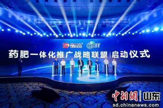 中国新闻网报道金正大集团(图1)