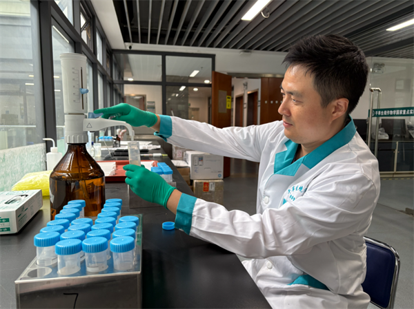 安宁区丨以系统思维绘就高质量发展新图景(图1)