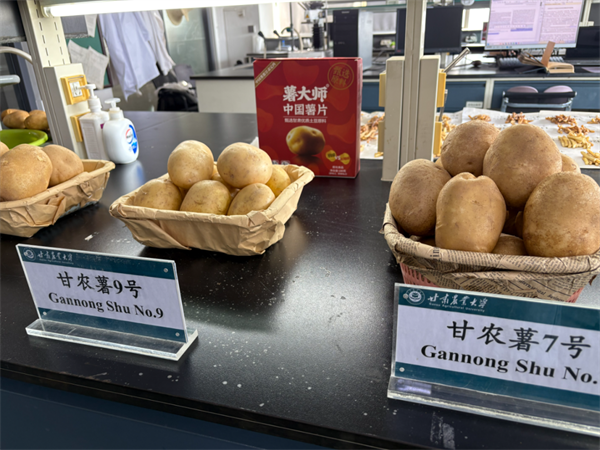 安宁区丨以系统思维绘就高质量发展新图景(图2)