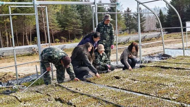 集团生态修复管理处种苗总站深入加格达奇林业局开展秋季林木种苗核查工作(图2)