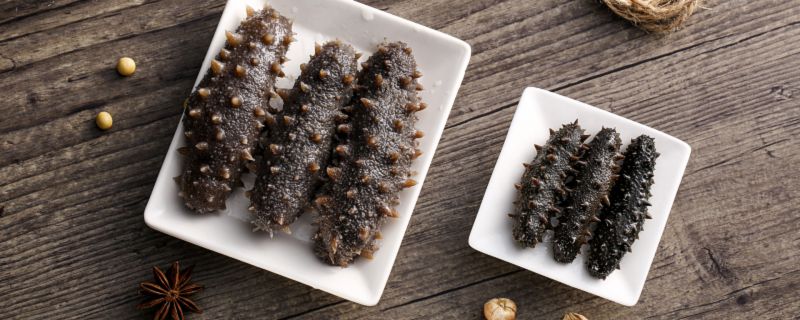 怎么确定海参坏了 怎么判断海参坏了(图1)