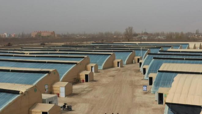 李子凡：在沙子里“种植”梦想(图1)