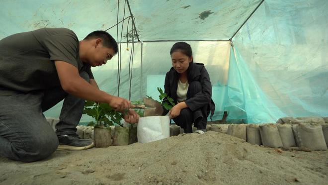 李子凡：在沙子里“种植”梦想(图2)