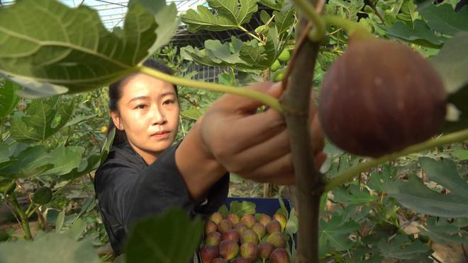 李子凡：在沙子里“种植”梦想(图3)