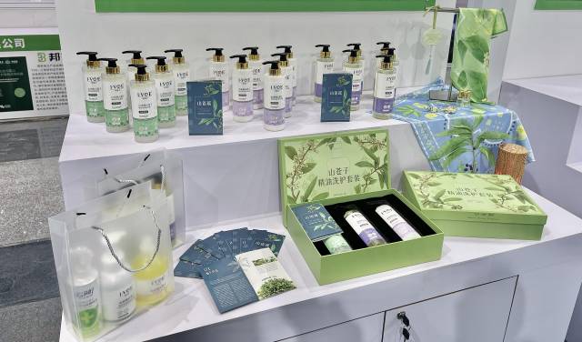 一颗山苍子的新生：粤北山野“小辛香”如何迈向“大市场”(图3)