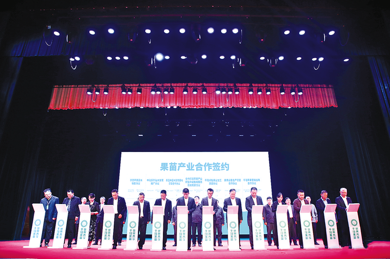 小果苗撑起千阳苹果“新赛道”(图4)