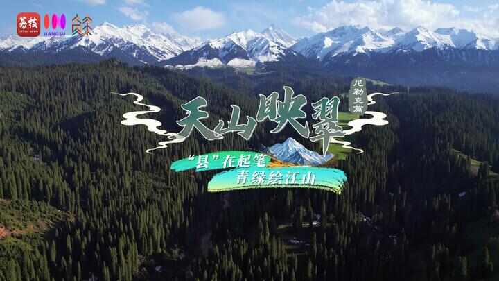 “县”在起笔 青绿绘江山丨天山映翠处云杉碧水共新生(图1)
