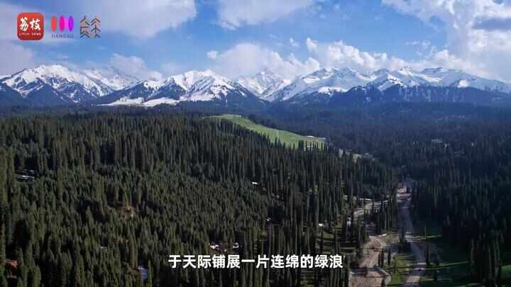 “县”在起笔 青绿绘江山丨天山映翠处云杉碧水共新生(图2)