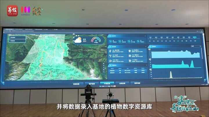 “县”在起笔 青绿绘江山丨天山映翠处云杉碧水共新生(图5)