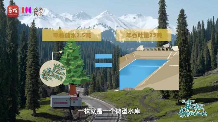 “县”在起笔 青绿绘江山丨天山映翠处云杉碧水共新生(图8)