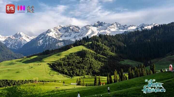 “县”在起笔 青绿绘江山丨天山映翠处云杉碧水共新生(图9)