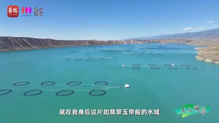 “县”在起笔 青绿绘江山丨天山映翠处云杉碧水共新生(图10)