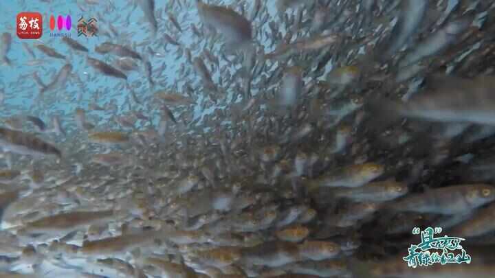 “县”在起笔 青绿绘江山丨天山映翠处云杉碧水共新生(图11)