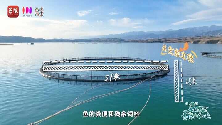 “县”在起笔 青绿绘江山丨天山映翠处云杉碧水共新生(图13)