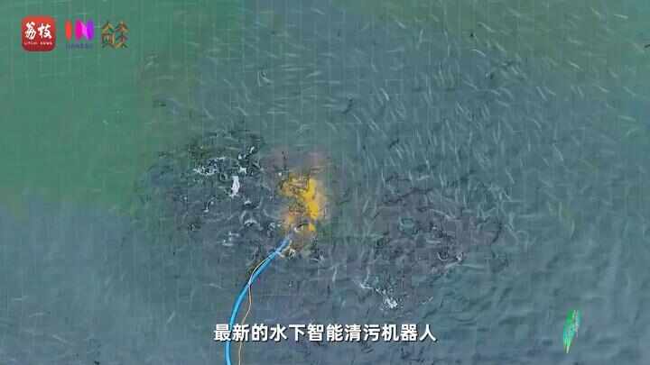 “县”在起笔 青绿绘江山丨天山映翠处云杉碧水共新生(图14)