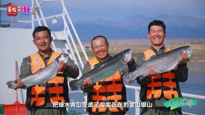 “县”在起笔 青绿绘江山丨天山映翠处云杉碧水共新生(图17)