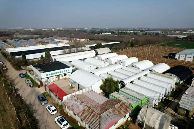 10月25日我们一起到杨凌逛农高会！攻略看过来→(图5)