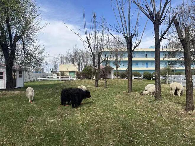 10月25日我们一起到杨凌逛农高会！攻略看过来→(图13)