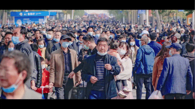 10月25日我们一起到杨凌逛农高会！攻略看过来→(图19)