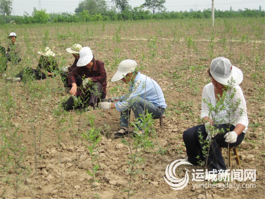 党建“火种”点燃乡村“引擎”(图2)