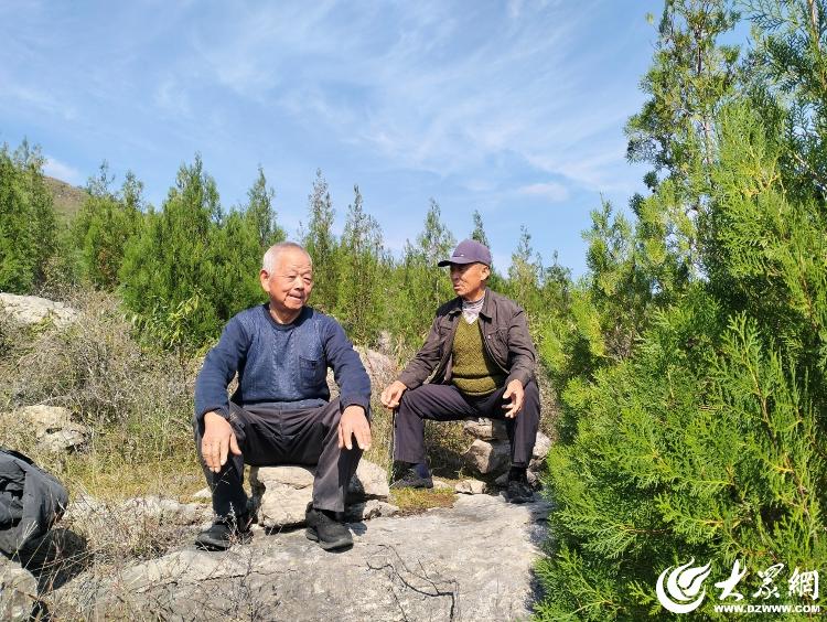 青山不负白发人——记沂南县新兴村四位古稀老人的荒山造林故事(图4)