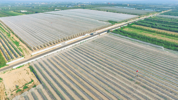 山西临猗县立足“郇阳果园”聚力书写果业高质量发展新篇章(图5)