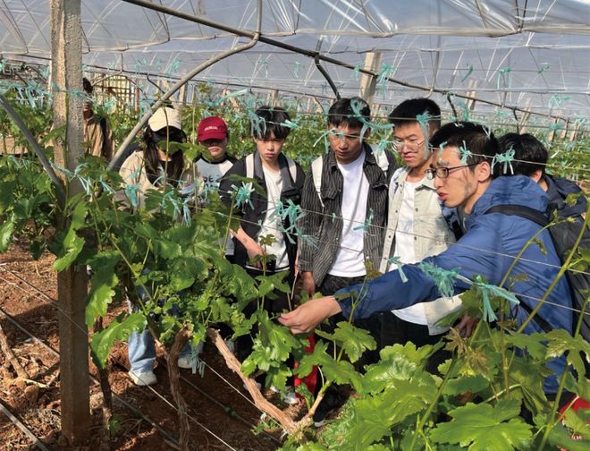 从“小树苗”到“参天树”！上和片区全学段教育“成长林”形成(图14)