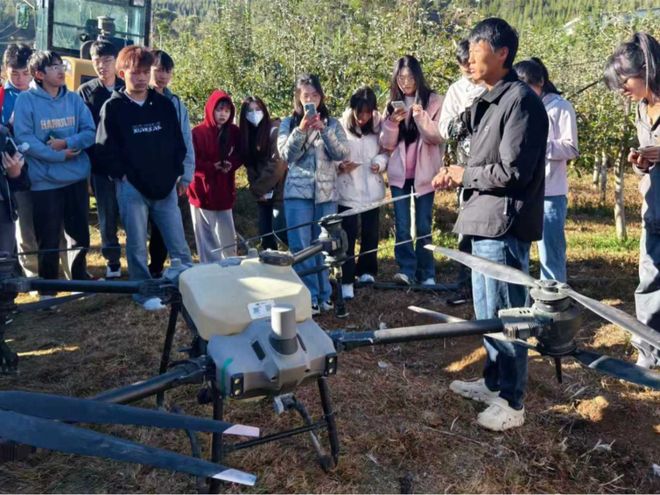 从“小树苗”到“参天树”！上和片区全学段教育“成长林”形成(图15)