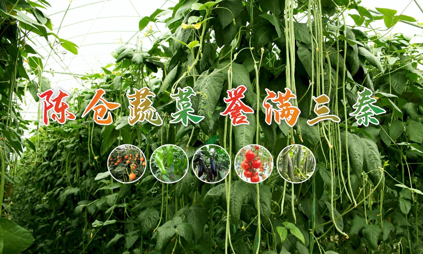 聚焦新质生产力 亮出“宝农优品”！ 宝鸡市精心筹备第三十二届杨凌农高会(图2)