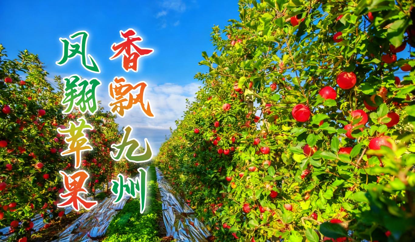 聚焦新质生产力 亮出“宝农优品”！ 宝鸡市精心筹备第三十二届杨凌农高会(图3)