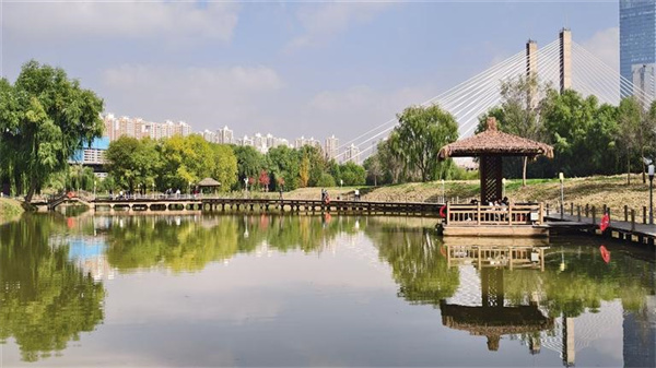 黄河岸边风光好 金城处处有美景(图3)