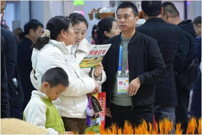 “一粒种”“一株苗”种猪”展现铜川农业硬实力！(图2)