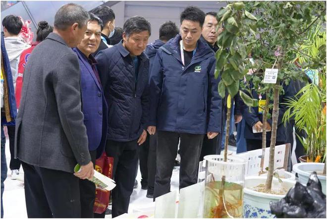 “一粒种”“一株苗”种猪”展现铜川农业硬实力！(图4)