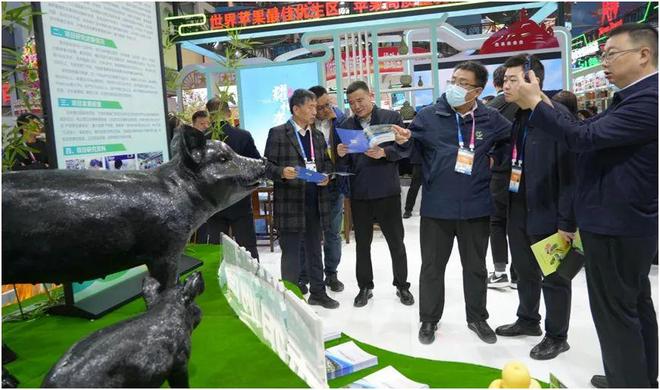 “一粒种”“一株苗”种猪”展现铜川农业硬实力！(图5)