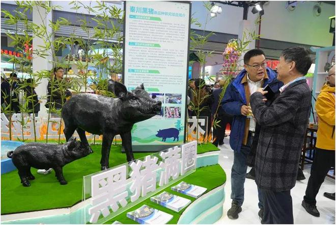 “一粒种”“一株苗”种猪”展现铜川农业硬实力！(图6)