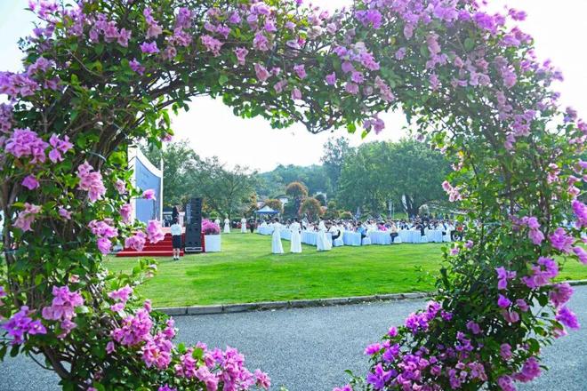 三角梅怒放花都已成花海！十五运来这赏花打卡！(图2)