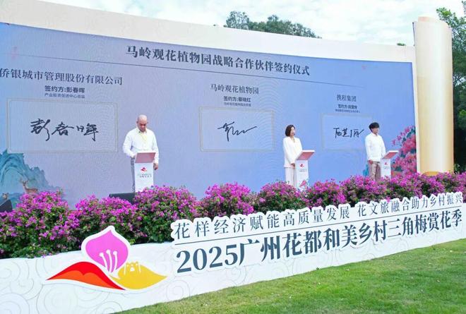 三角梅怒放花都已成花海！十五运来这赏花打卡！(图3)