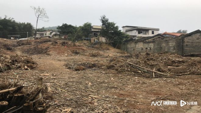 肇庆封开：贺江“几字湾”奔流农文旅融合探出振兴新路(图3)