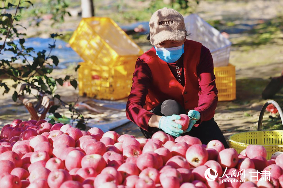 行进中国丨静宁苹果的“三级跳”(图2)