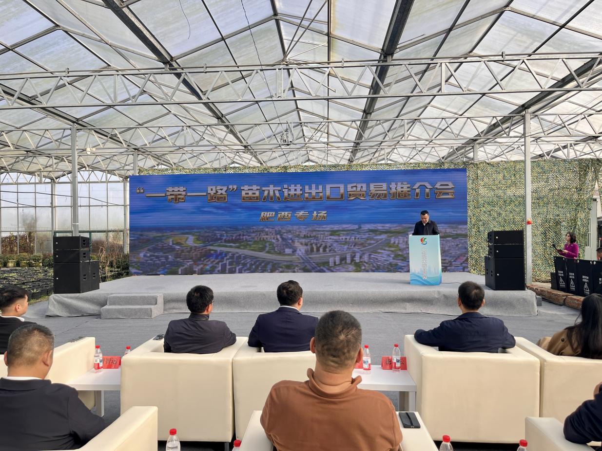 “一带一路”苗木进出口贸易推介会在肥西举办(图1)