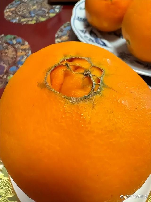 70多年前重庆果农15天跋涉千里带回2棵树苗如今养活几十万人(图5)