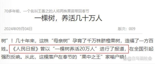 70多年前重庆果农15天跋涉千里带回2棵树苗如今养活几十万人(图18)