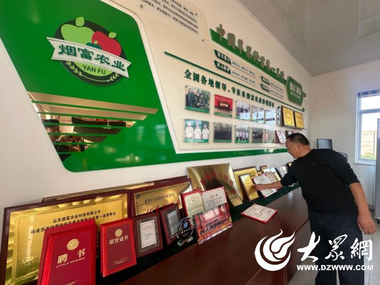 蓬莱烟富种苗插满祖国大地 科技赋能果业振兴(图1)