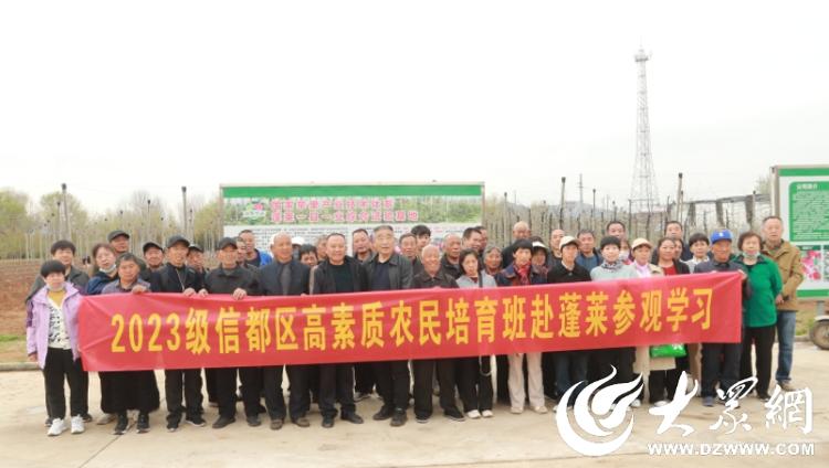 蓬莱烟富种苗插满祖国大地 科技赋能果业振兴(图4)