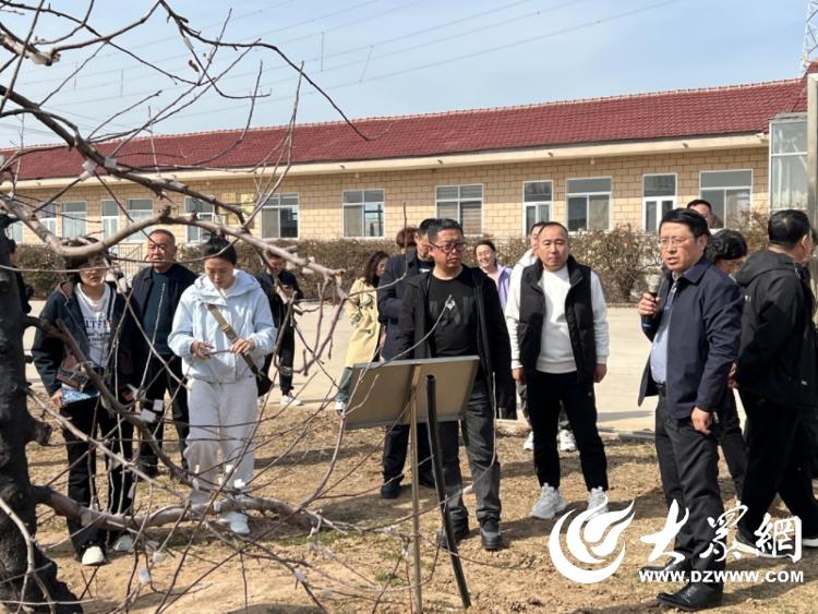 蓬莱烟富种苗插满祖国大地 科技赋能果业振兴(图5)