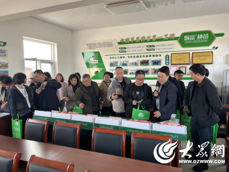 蓬莱烟富种苗插满祖国大地 科技赋能果业振兴(图6)